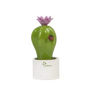 Gli Alberelli Piantina grassa Cactus Viola h 14 cm in capodimonte profumatore