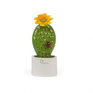 Gli Alberelli Piantina grassa Cactus Giallo h 14 cm in capodimonte profumatore