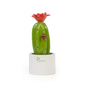 Gli Alberelli Piantina grassa Cactus Rosso h 14 cm in capodimonte profumatore