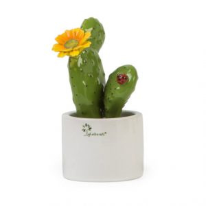Gli Alberelli Pianta grassa Cactus Giallo h 20 cm in capodimonte profumatore