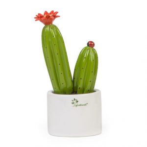 Gli Alberelli Pianta grassa Cactus Rosso h 20 cm in capodimonte profumatore