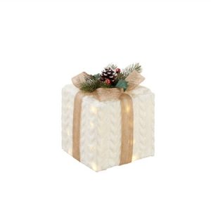 L'Oca Nera Natale Doni splendenti, pacco piccolo con 20 led, 15x15x18h cm