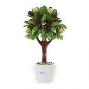 Gli Alberelli Albero Ulivo olivo h 28 cm in capodimonte profumatore