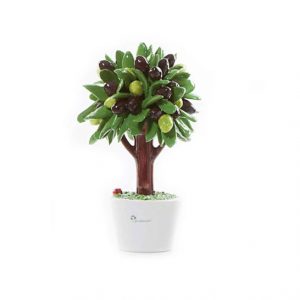 Gli Alberelli Albero Ulivo olivo h 21 cm in capodimonte profumatore