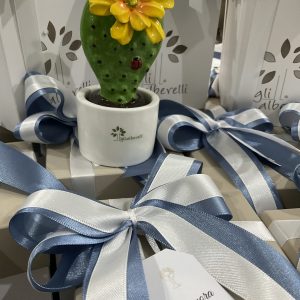 Bomboniere Gli Alberelli Cactus in Capodimonte Profumatore compreso di confezione