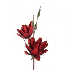 L'Oca Nera Preziosi petali rosso fiore foglie ramo natale