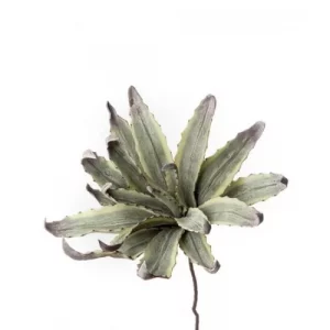 L'Oca Nera Fiori d'arredo Agave 1P124 fiore artificiale