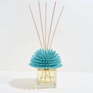 Riccio Caprese Riccio Profumatore fragrance capodimonte 100 ml Acquamarina