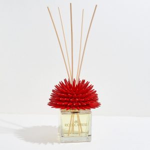 Riccio Caprese Riccio Profumatore fragrance capodimonte 100 ml Rosso